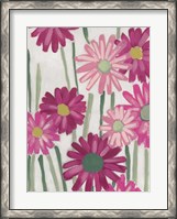 Framed Spring Pinks IV