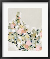 Blushing Blooms II Framed Print