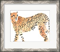 Framed Majestic Cheetah II