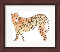 Framed Majestic Cheetah II