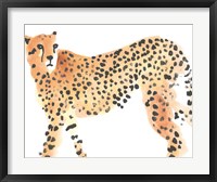 Framed Majestic Cheetah II