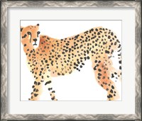 Framed Majestic Cheetah II