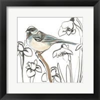 Framed Songbird Meadow II