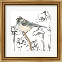 Framed Songbird Meadow II