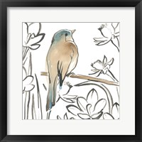 Songbird Meadow III Framed Print