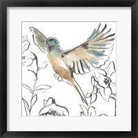 Songbird Meadow IV Framed Print