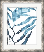 Framed Inkwash Kelp I