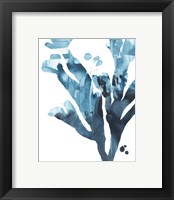 Framed 'Inkwash Kelp II' border=