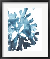 Framed Inkwash Kelp III