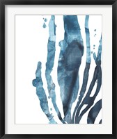 Framed Inkwash Kelp IV