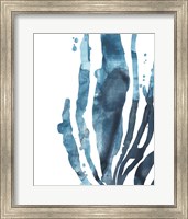 Framed Inkwash Kelp IV