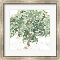 Framed Country Tree II