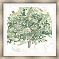 Framed Country Tree III
