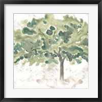 Framed Country Tree IV
