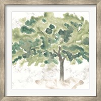 Framed Country Tree IV