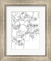 Framed Contour Bouquet I