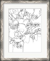 Framed Contour Bouquet I