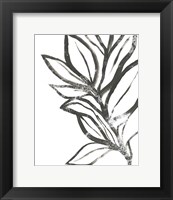 Framed Leaf Instinct II