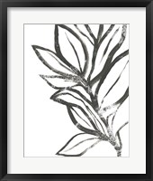 Framed 'Leaf Instinct II' border=