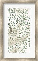 Framed Green Flowerhead II