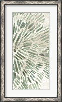 Framed Green Flowerhead IV