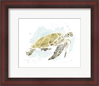 Framed Watercolor Sea Turtle Study I