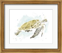 Framed Watercolor Sea Turtle Study I