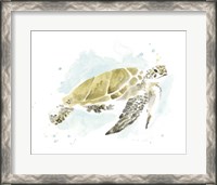 Framed Watercolor Sea Turtle Study I