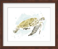 Framed Watercolor Sea Turtle Study I