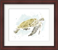 Framed Watercolor Sea Turtle Study I