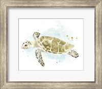 Framed Watercolor Sea Turtle Study II