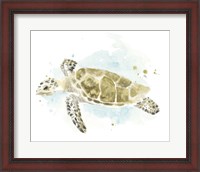 Framed Watercolor Sea Turtle Study II