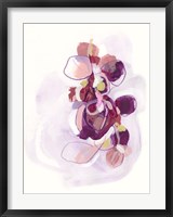 Framed Orchid Sonata II