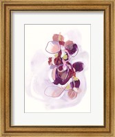 Framed Orchid Sonata II