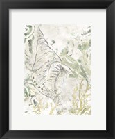 Framed Verdant Shell Fresco II