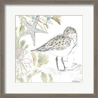 Framed Seaside Sandpipers I