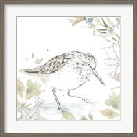 Framed Seaside Sandpipers III