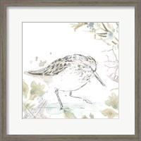 Framed Seaside Sandpipers III