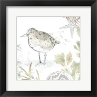 Framed 'Seaside Sandpipers IV' border=