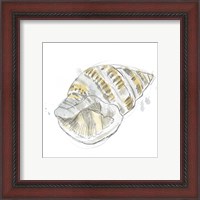 Framed 'Citron Shell Sketch I' border=
