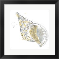 Citron Shell Sketch II Framed Print
