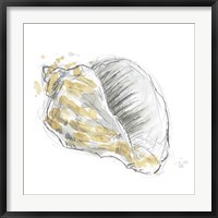 Framed Citron Shell Sketch III