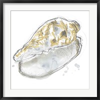 Framed Citron Shell Sketch IV