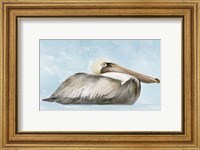 Framed Soft Brown Pelican I