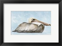 Framed Soft Brown Pelican I