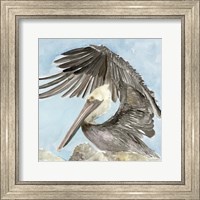 Framed Soft Brown Pelican II