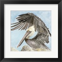 Framed Soft Brown Pelican II