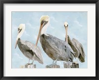 Framed Soft Brown Pelican III