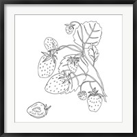 Framed Wild Strawberries I