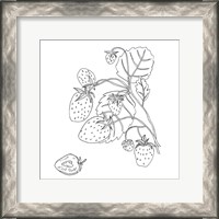 Framed Wild Strawberries I